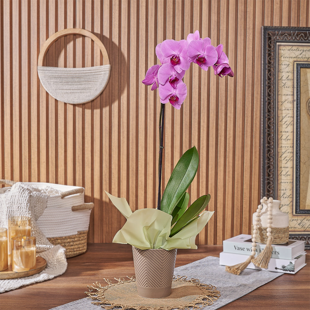 Indoor Pink Orchid Plant with Ceramic Planter – how the gift is presented