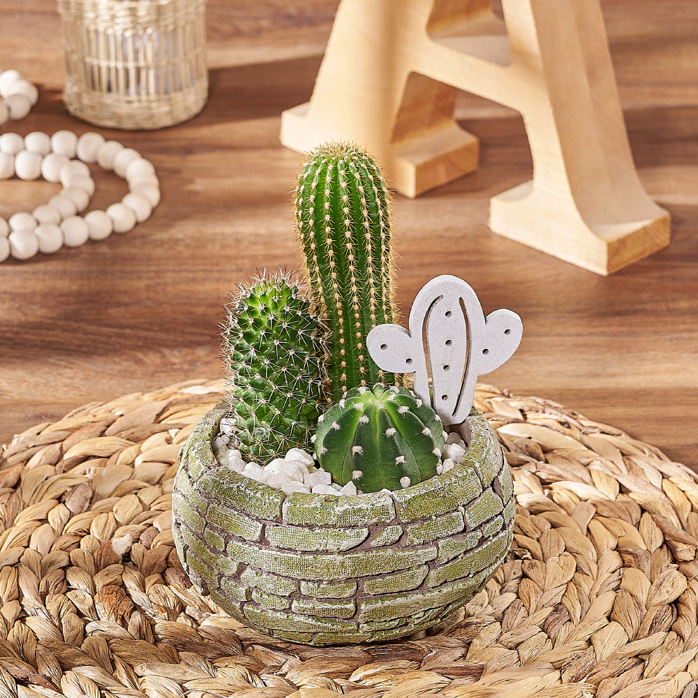 Triple Assorted Cactus Brick Planter – how the gift is presented