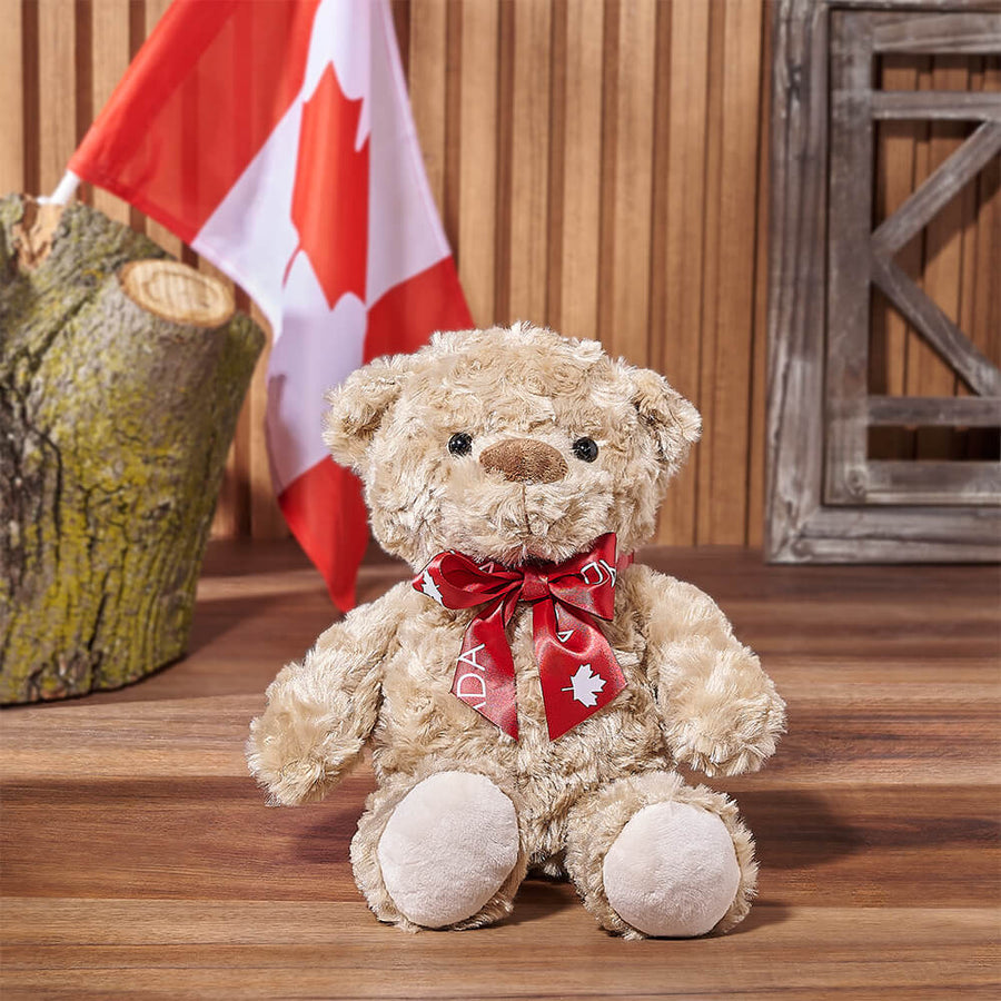 Canada Day Teddy Bear, plush gift, plush, bear gift, bear, canada day gift, canada day, Ottawa delivery