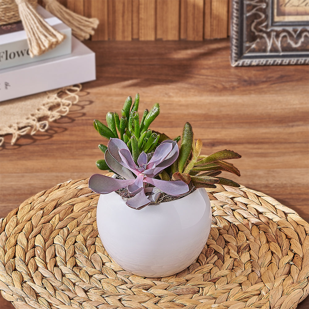 Small Easy-to-Care Succulent Plant Planter – how the gift is presented