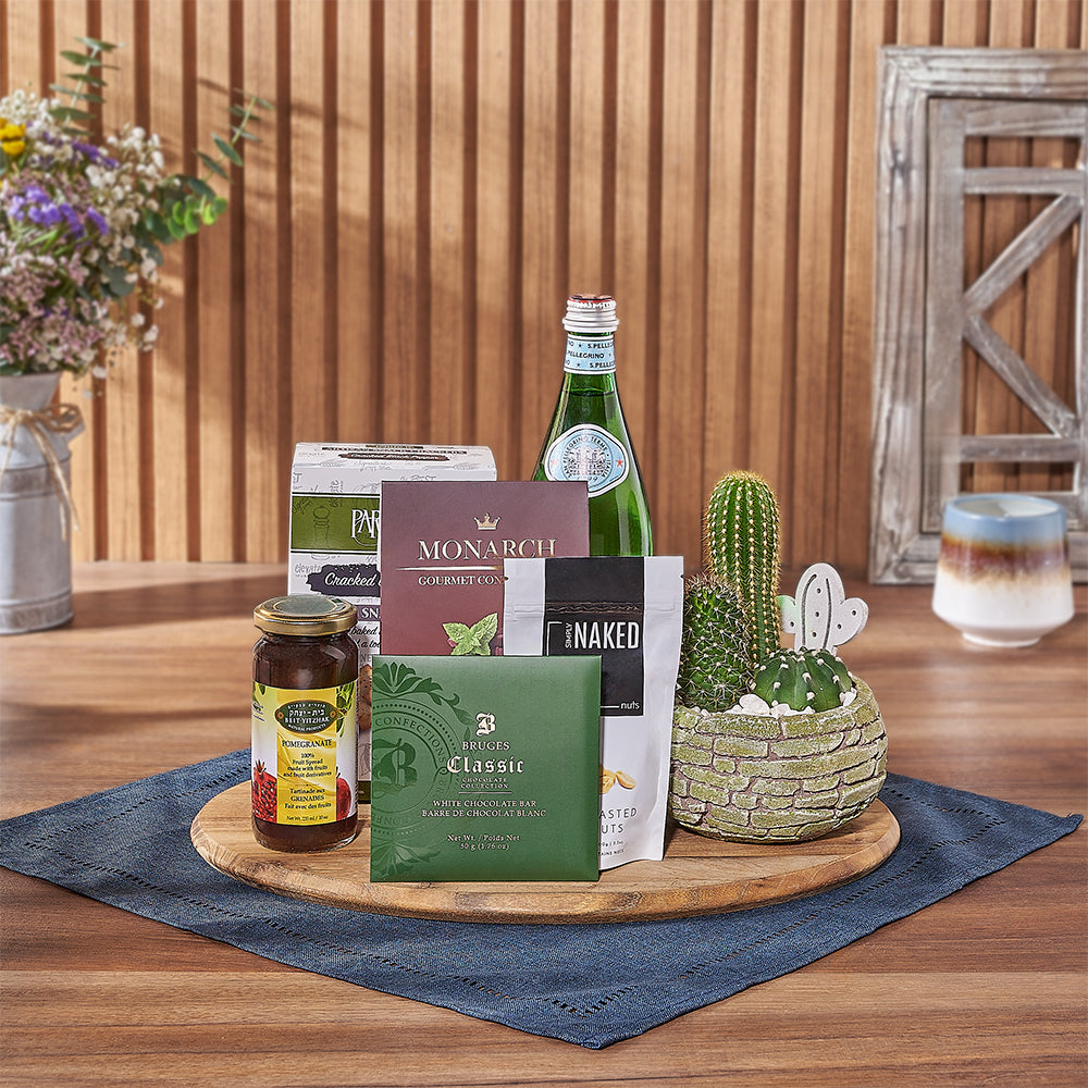 Three Cacti Planter with Kosher Gourmet Assortment Gift Set – how the gift is presented