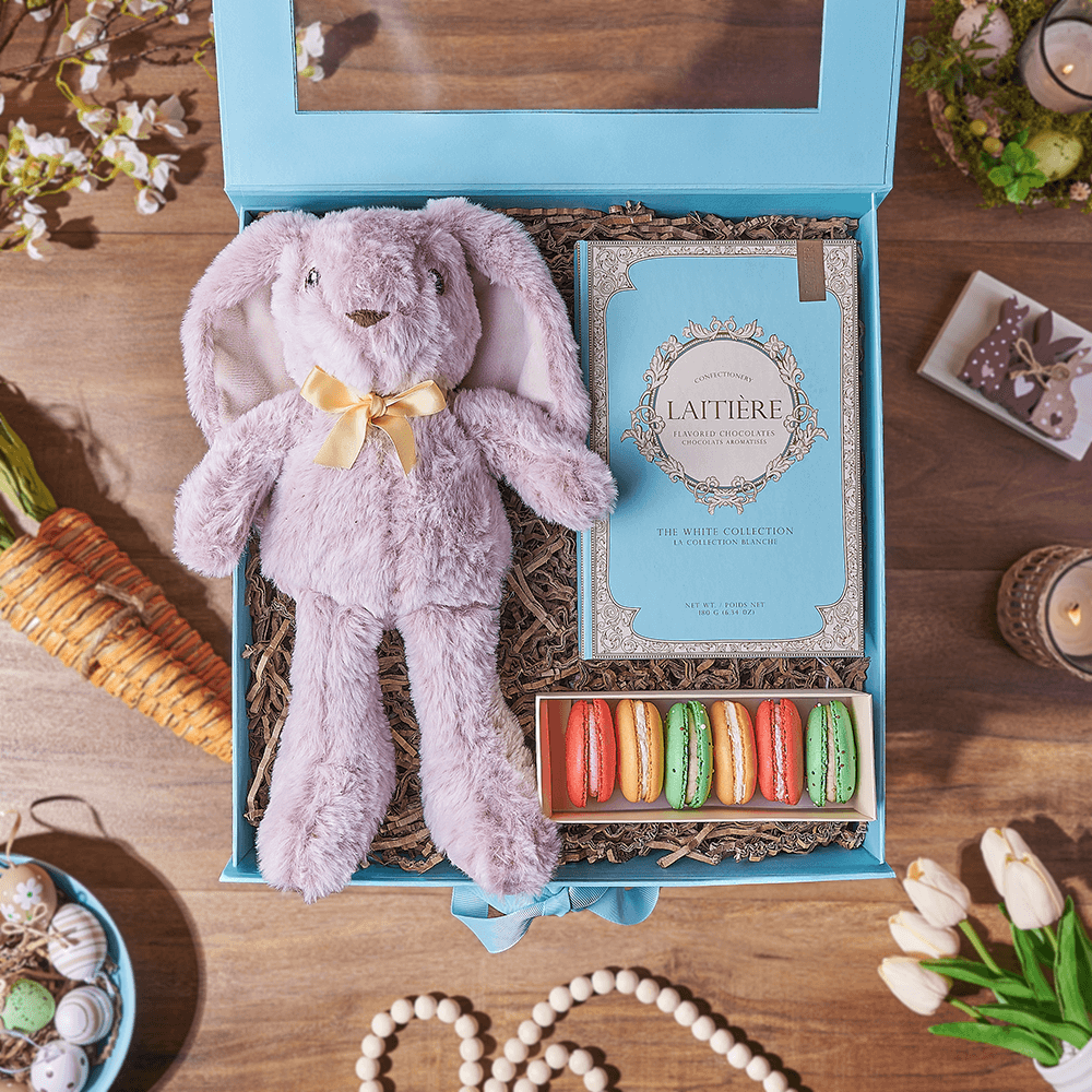 Easter Plush Bunny with Macarons and Dark Chocolate Gift Box – how the gift is presented