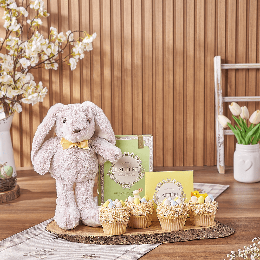 Easter Bunny & Cupcake Gift, easter gift, easter, cupcake gift, cupcake, chocolate gift, chocolate, Ottawa delivery