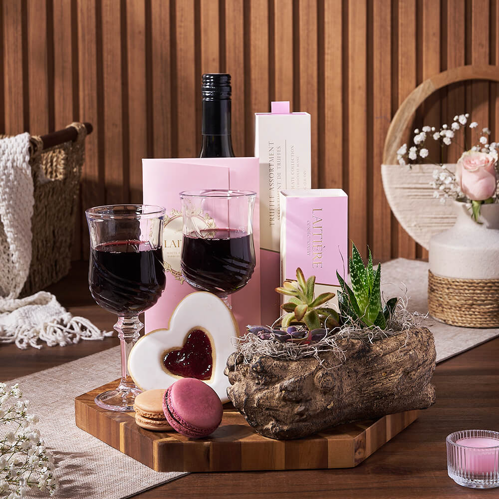 Fairbank Wine & Succulent Garden Gift, wine gift, wine, plant gift, plant, gourmet gift, gourmet, chocolate gift, chocolate, mothers day gift, mothers day, Ottawa delivery