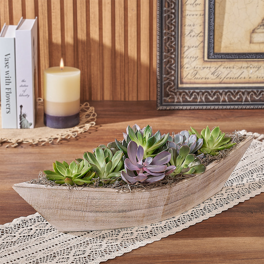succulents ottawa Moss Park Succulent Boat Garden – Plant gift baskets – Ottawa delivery