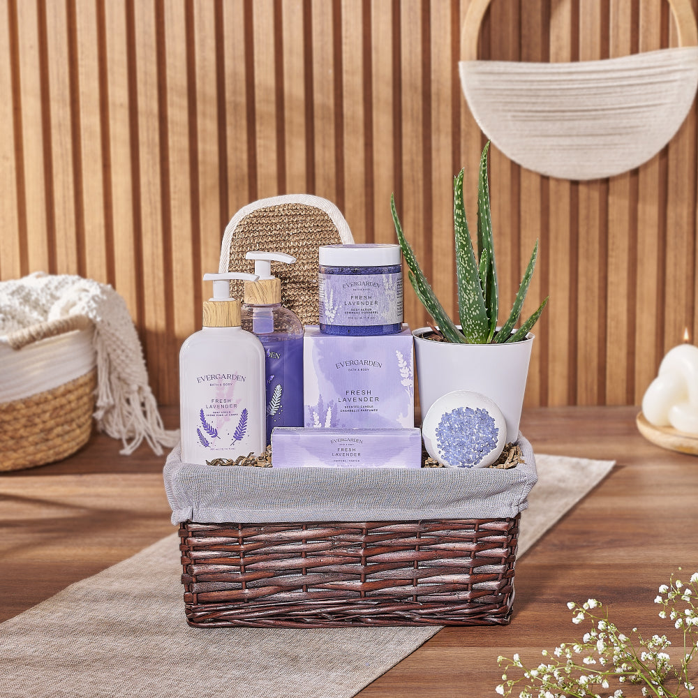 Natural Beauty Succulent &amp; Spa Gift Set – Spa gift baskets – Ottawa delivery