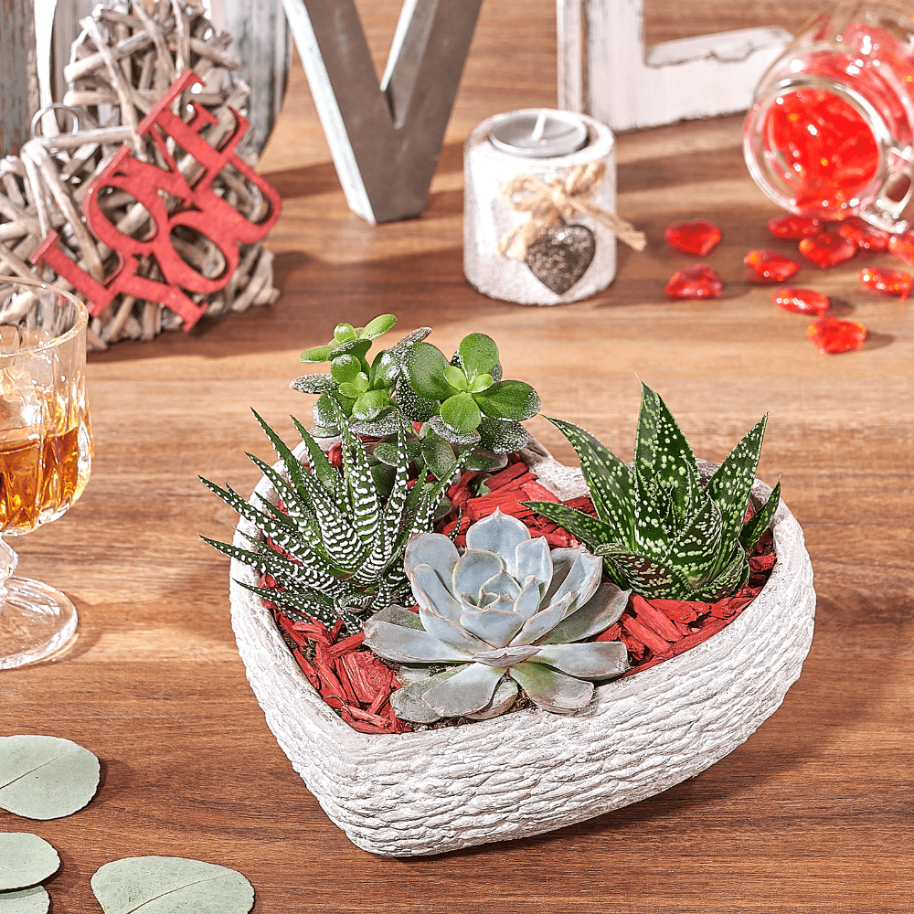 Heart-Shaped Stone Planter with Succulent Rock Garden – how the gift is presented