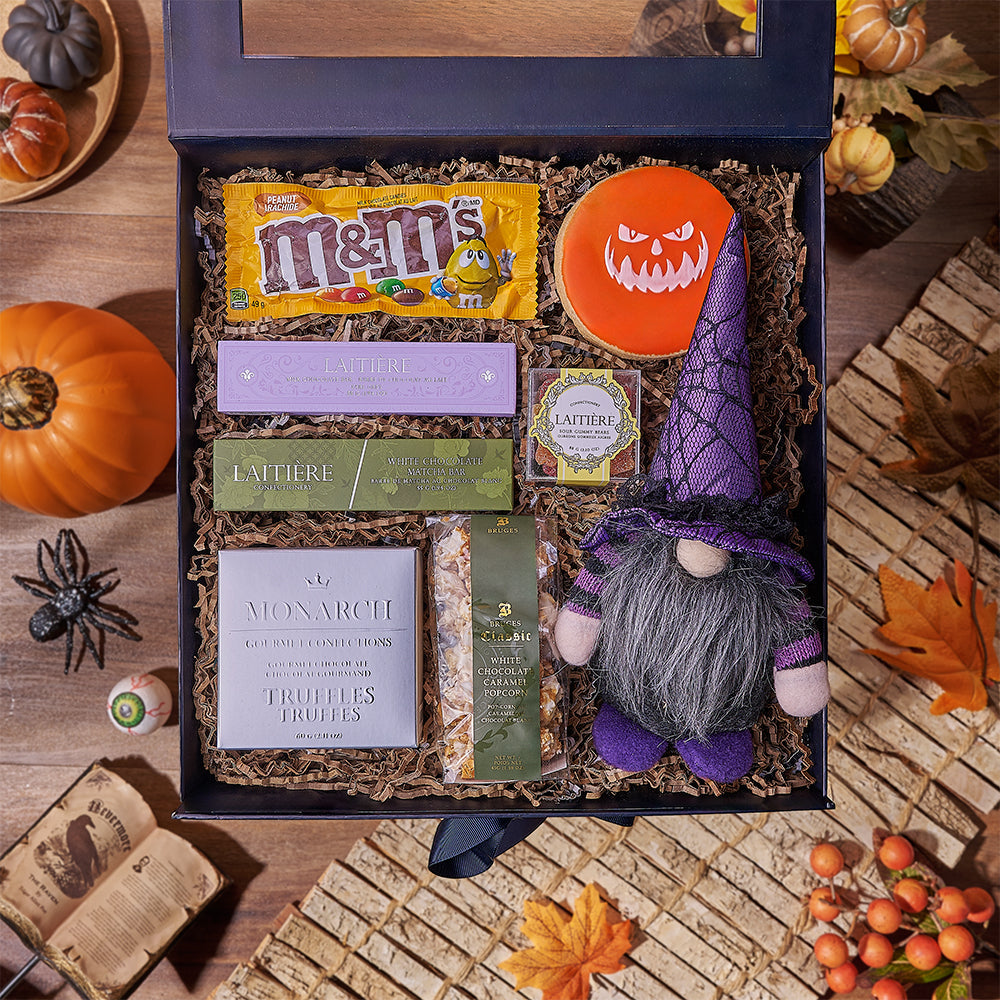 Halloween Wizard Plush and Gourmet Snack Gift Box with Skull Cookie – how the gift is presented