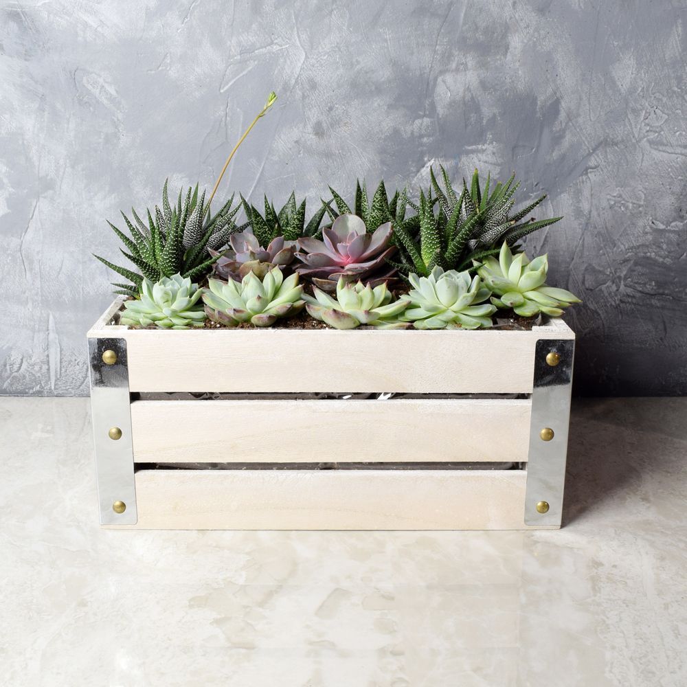 Signature Wooden Crate with Succulent Plants – how the gift is presented