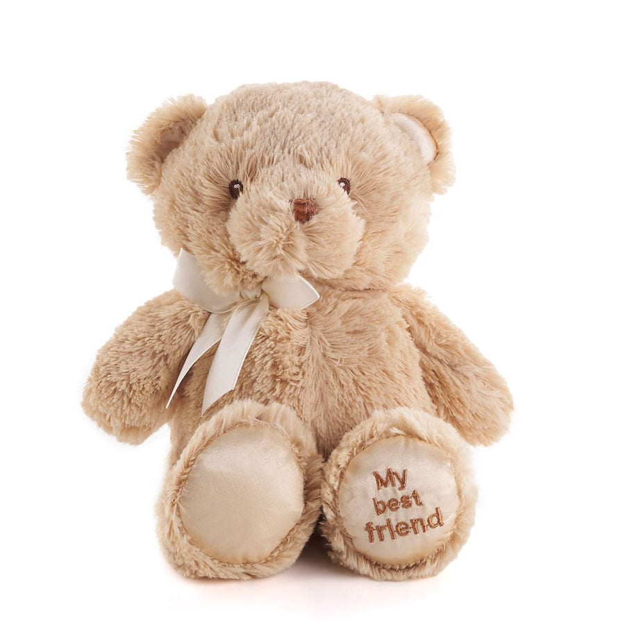 Brown Best Friend Baby Plush Bear from Ottawa Baskets - Plush Gift - Ottawa Delivery.