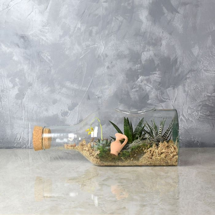 Cliffcrest Succulent Garden in a Bottle from Ottawa Baskets - Succulent Gift - Ottawa Delivery.