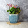 Hillcrest Floral Tropical Garden from Ottawa Baskets - Ottawa Delivery