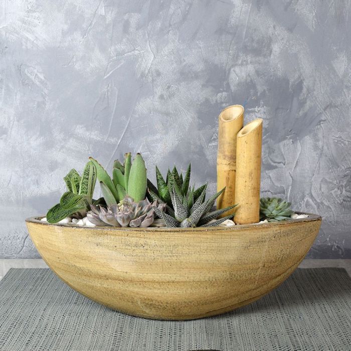 Moss Park Succulent Boat Garden from Ottawa Baskets - Plant Gift - Ottawa Delivery.