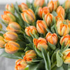 Seasonal Flowers of The Month from Ottawa Baskets - Ottawa Delivery
