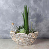The St. Lawrence Potted Succulent Garden is a wonderful gift that will brighten up any space and add some life. This rustic garden features a variety of succulents as well as other tropical plants in a decorative ceramic pot from Ottawa Baskets - Ottawa Delivery