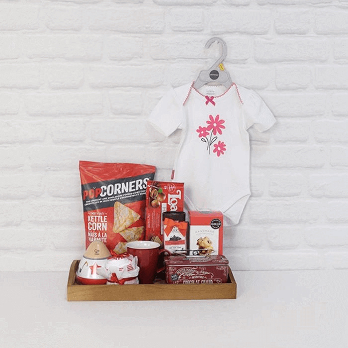 New Parents Baby Essentials Basket – how the gift is presented