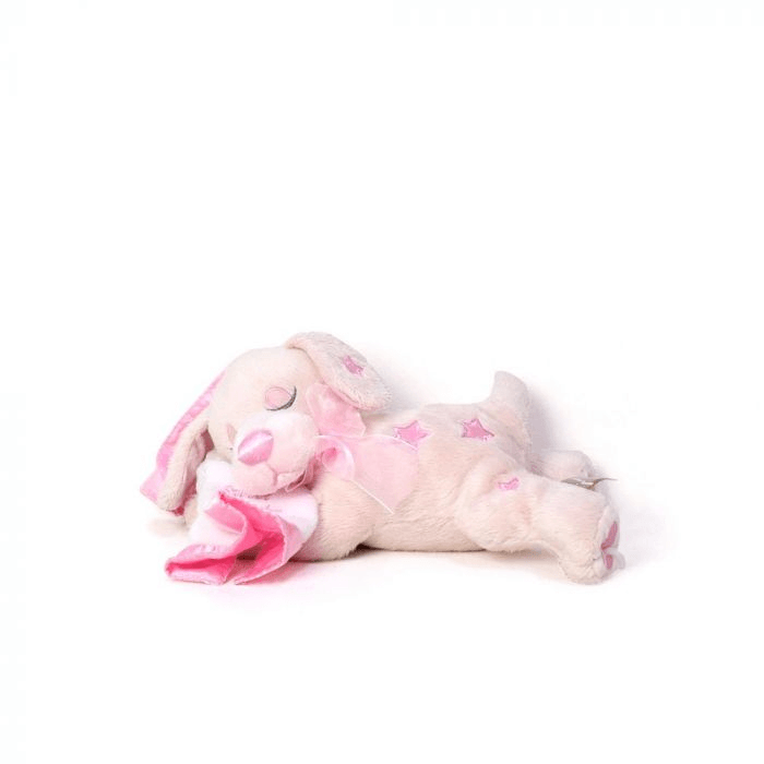 Welcome Newborn Baby Girl Gift Basket from Ottawa Baskets