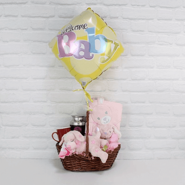 Newborn Baby Girl Gift Basket Ottawa Baskets Ottawa Delivery